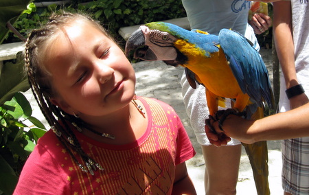 Parrot kissing Mika